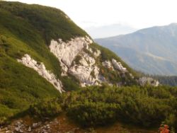2013-10-08_Guffert (113).JPG